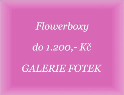 Flowerboxy do 1.200,- Kč