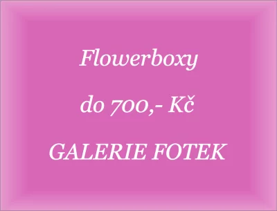 Flowerboxy do 700,- Kč