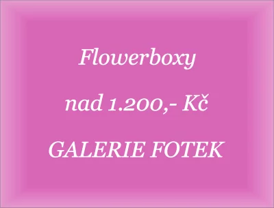 Flowerboxy nad 1.200,- Kč