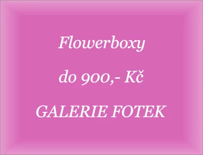 Flowerboxy do 900,- Kč