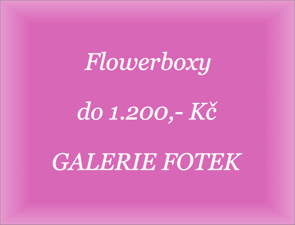 Obrázek produktu
