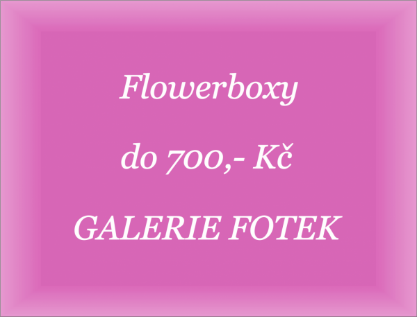 Obrázek produktu