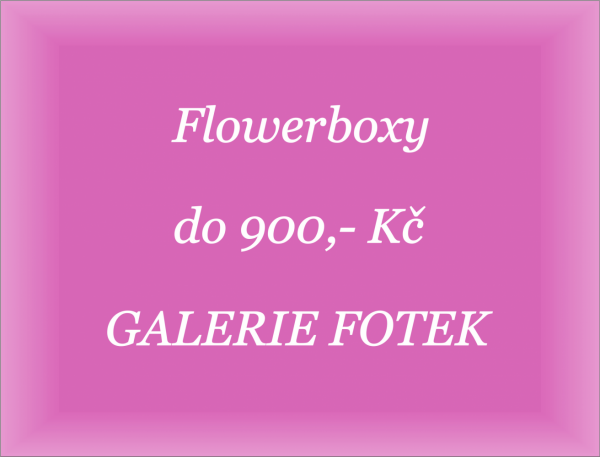 Obrázek produktu